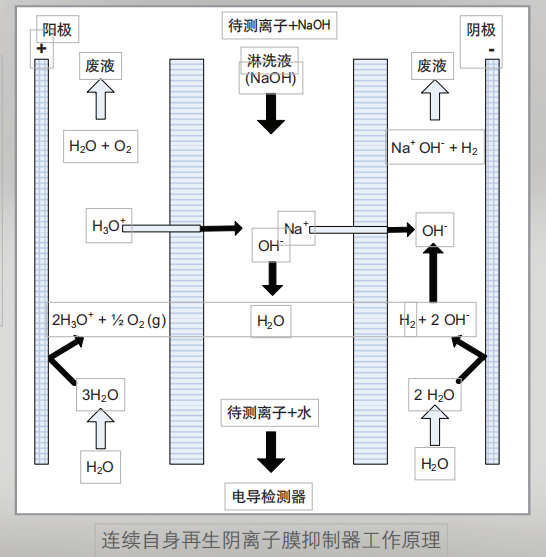 连续自身再生阴离子膜抑制器工作原理