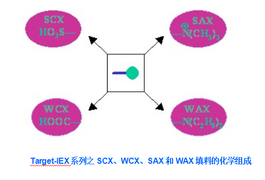 Target-IEX 系列离子交换色谱柱填料组成