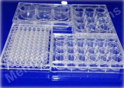 MS-Clean™细胞培养板